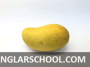 আমের ছবি - banglarschool.com - mango photo (11)