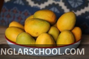 আমের ছবি - banglarschool.com - mango photo (12)