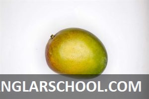 আমের ছবি - banglarschool.com - mango photo (17)