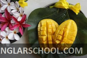 আমের ছবি - banglarschool.com - mango photo (4)